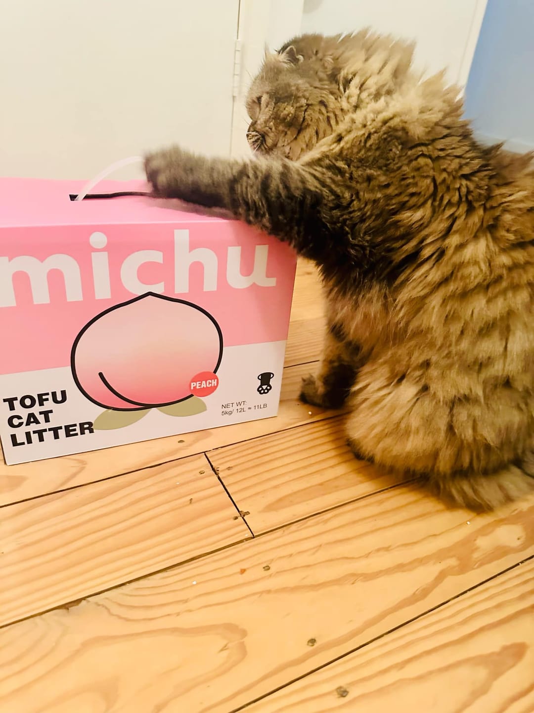 Customer photo review of Michu Tofu Cat Litter Gen3 - Natural Clumping Tofu-Based Formula - Value Box 5 kg