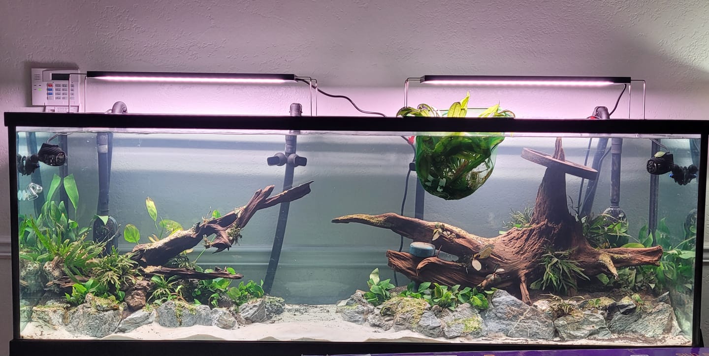 Customer photo review of Chihiros WRGB II Pro LED Light