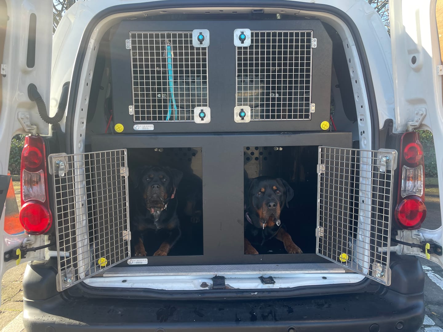 Customer photo review of Dog Van Kit | Citroën Berlingo | 2008-Present | Double stack | DT VS1