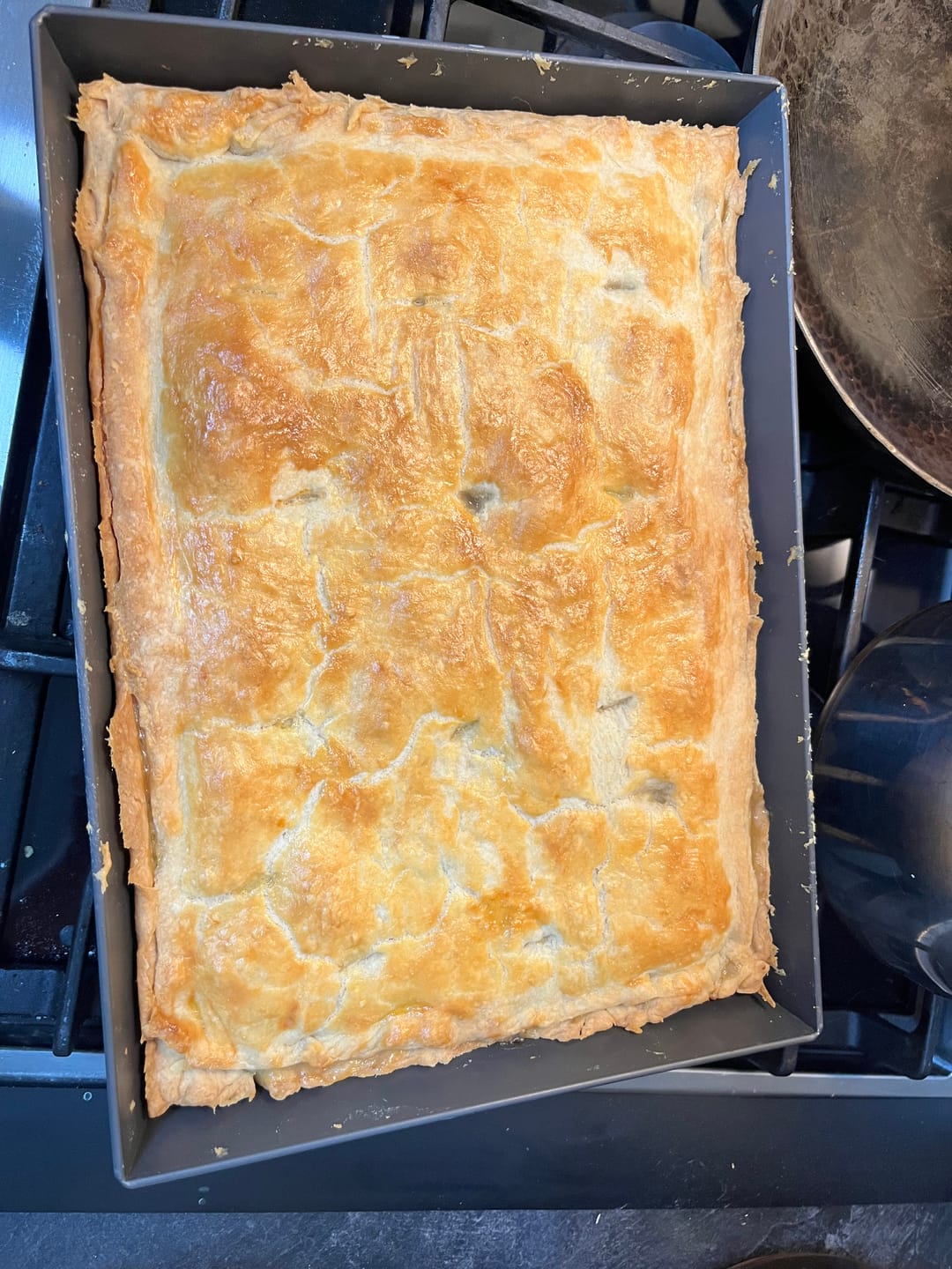 Customer photo review of Pasture Raised Leaf Lard (14 oz)