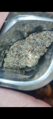Customer photo review of Alien Rock Candy