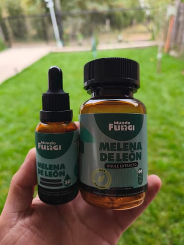 Customer photo review of Melena de León Cápsulas + Gotas - Extracto Ultra Concentrado