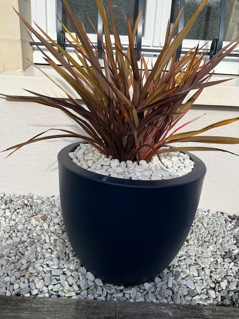Customer photo review of Pot - Cuenco