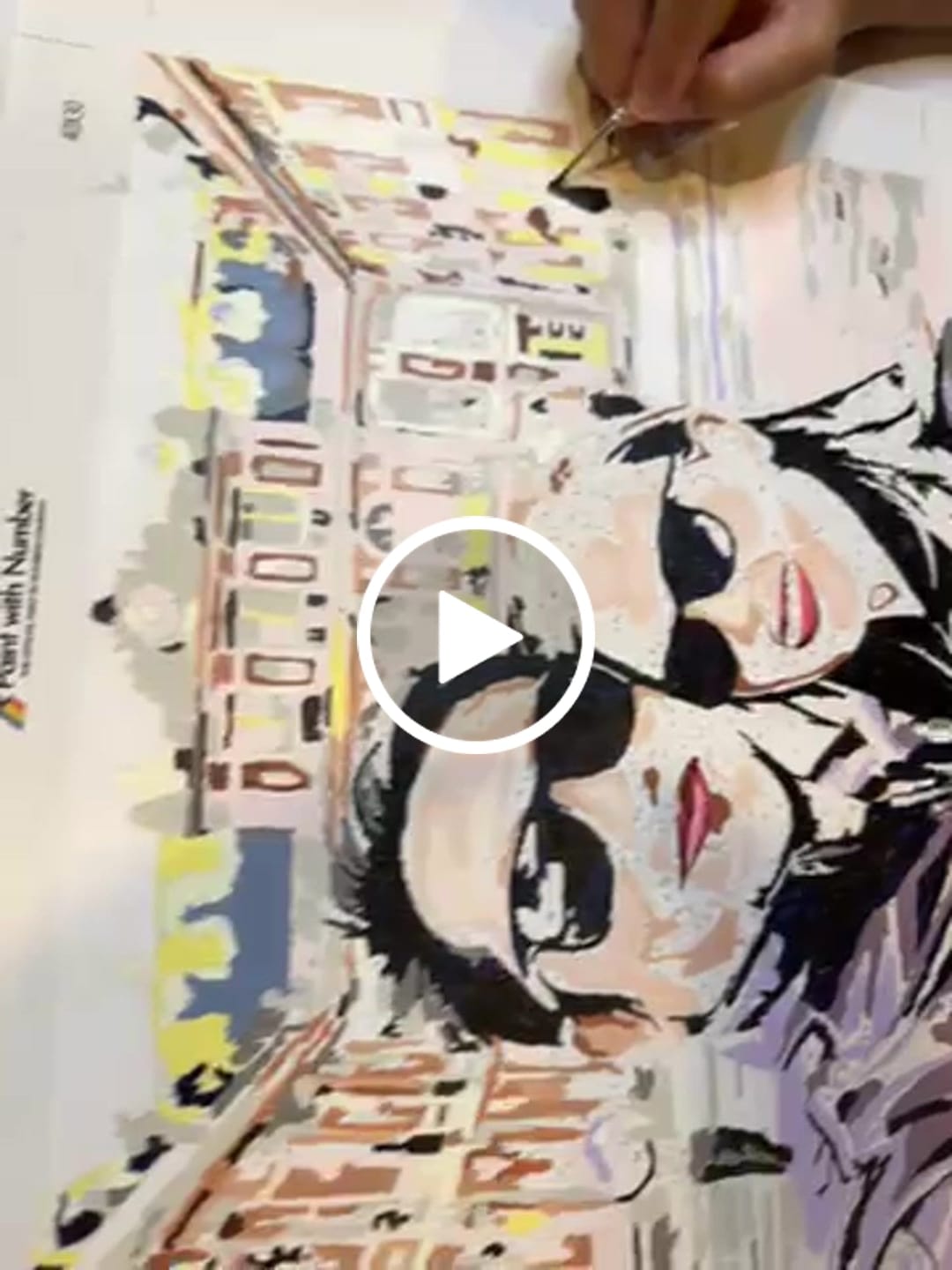 Customer video review of Paint with Number® Custom Kit