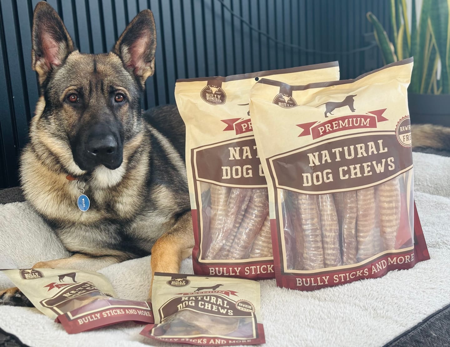 Customer photo review of 12 Inch Beef Trachea