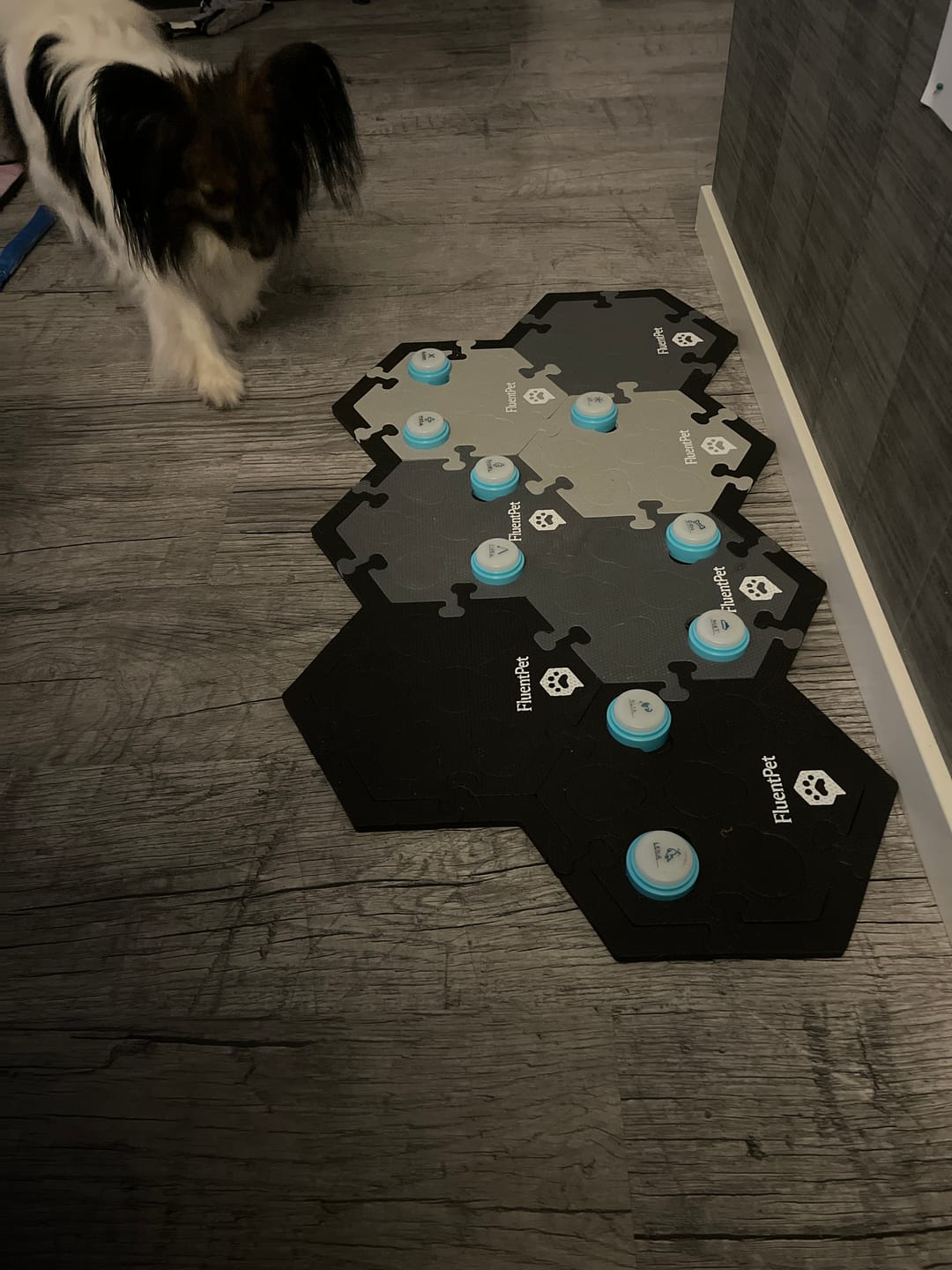 Customer photo review of HexTile Multipacks
