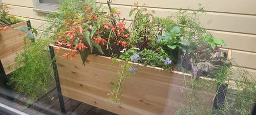 Customer photo review of 18" x 48" Raised Garden Bed