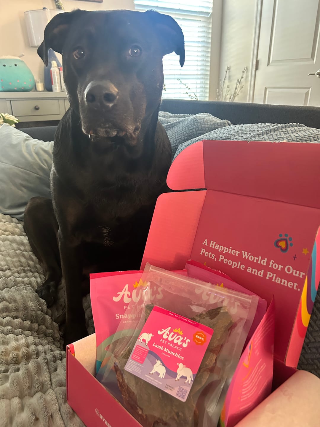 Customer photo review of Freeze Dried Dog Treats - Turkey Poppers