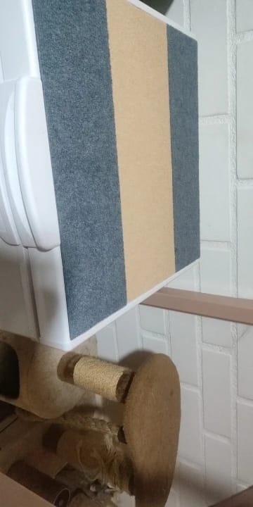 Customer photo review of Cats Scratch Self-Adhesive Carpet