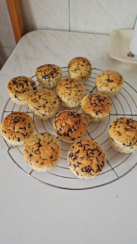 Customer photo review of Air Fryer Novio Grill & Fry