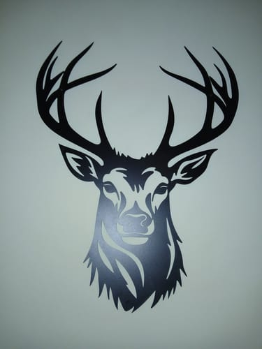 Customer photo review of Décoration Murale en Métal - Tête de cerf