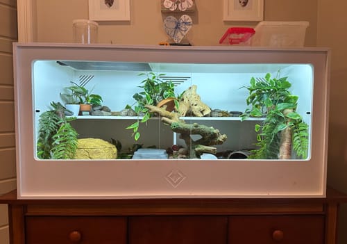 Customer photo review of XT4 BIO24 (48Lx24Dx24H) - STACKABLE
