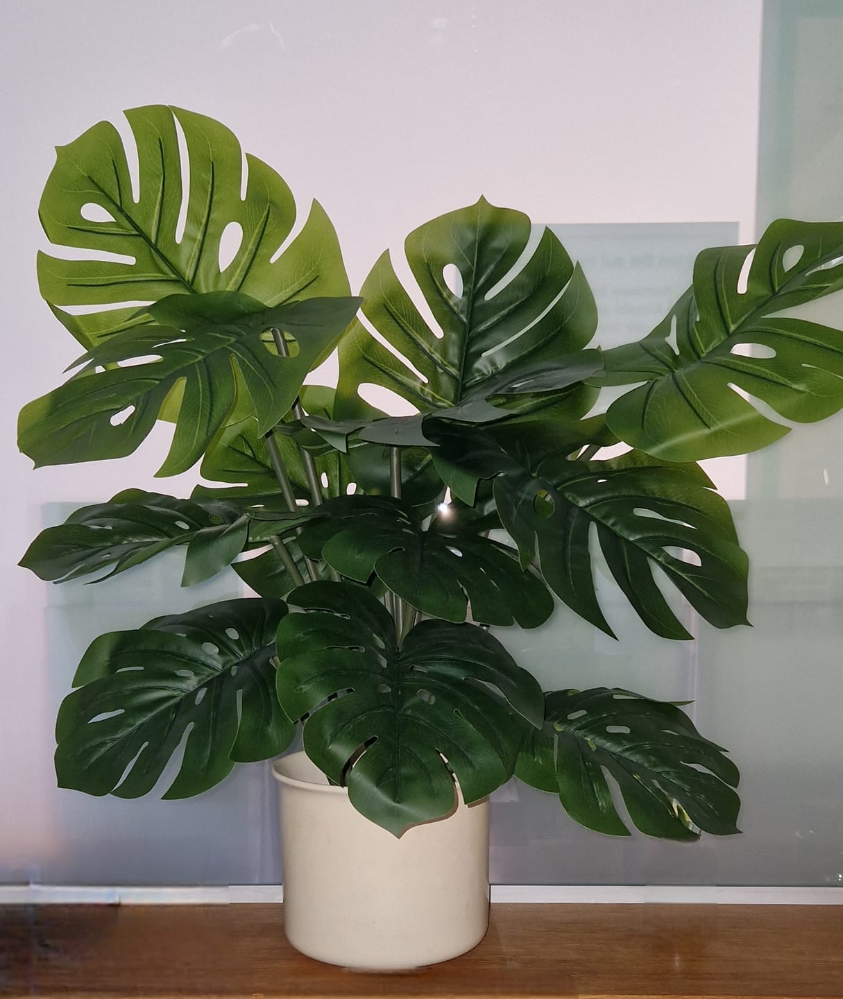 Customer photo review of Monstera Kunstpflanze A 80cm