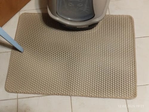 Customer photo review of Cats Scratch Self-Adhesive Carpet