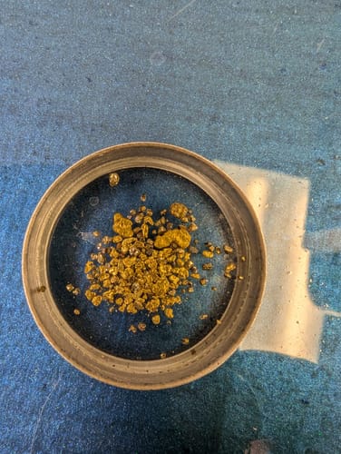 Customer photo review of 5 Lb. NUGGET RESERVE™ ‘Specimen Elite’ - Gold Paydirt