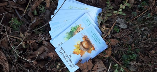 Customer photo review of Gefunden! Outdoor Suchspiel