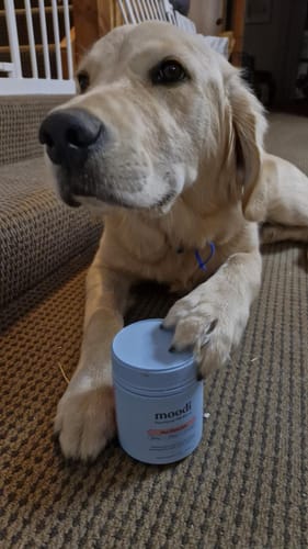 Customer photo review of Hot Chocolate