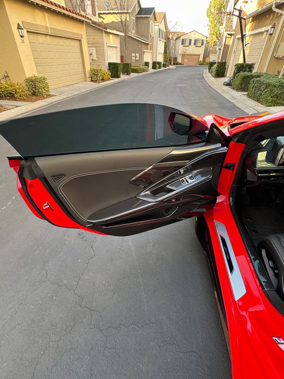 Customer photo review of Chevrolet Corvette C8 Door Speaker Cover