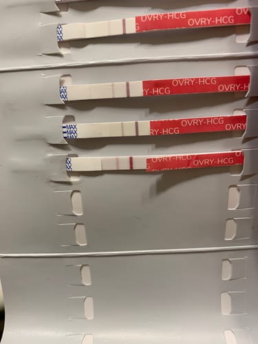 Customer photo review of Pregnancy Test Strips (Ultra-Sensitive)