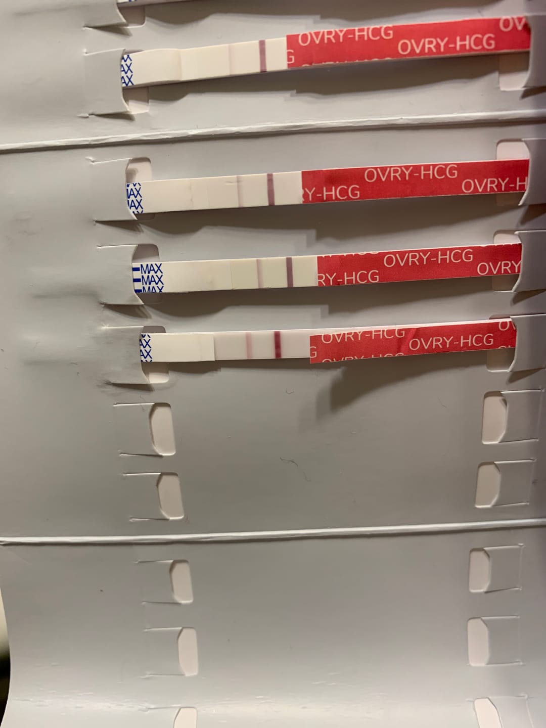 Customer photo review of Pregnancy Test Strips (Ultra-Sensitive)