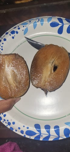 Customer photo review of Sapodilla (Nispero/Naseberry)