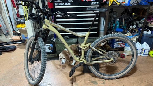 Customer photo review of Custom Frame Keeper