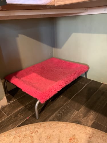 Customer photo review of Hot Pink Cosy Sleeve