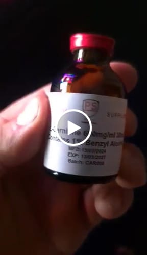 Customer video review of L-Carnitine