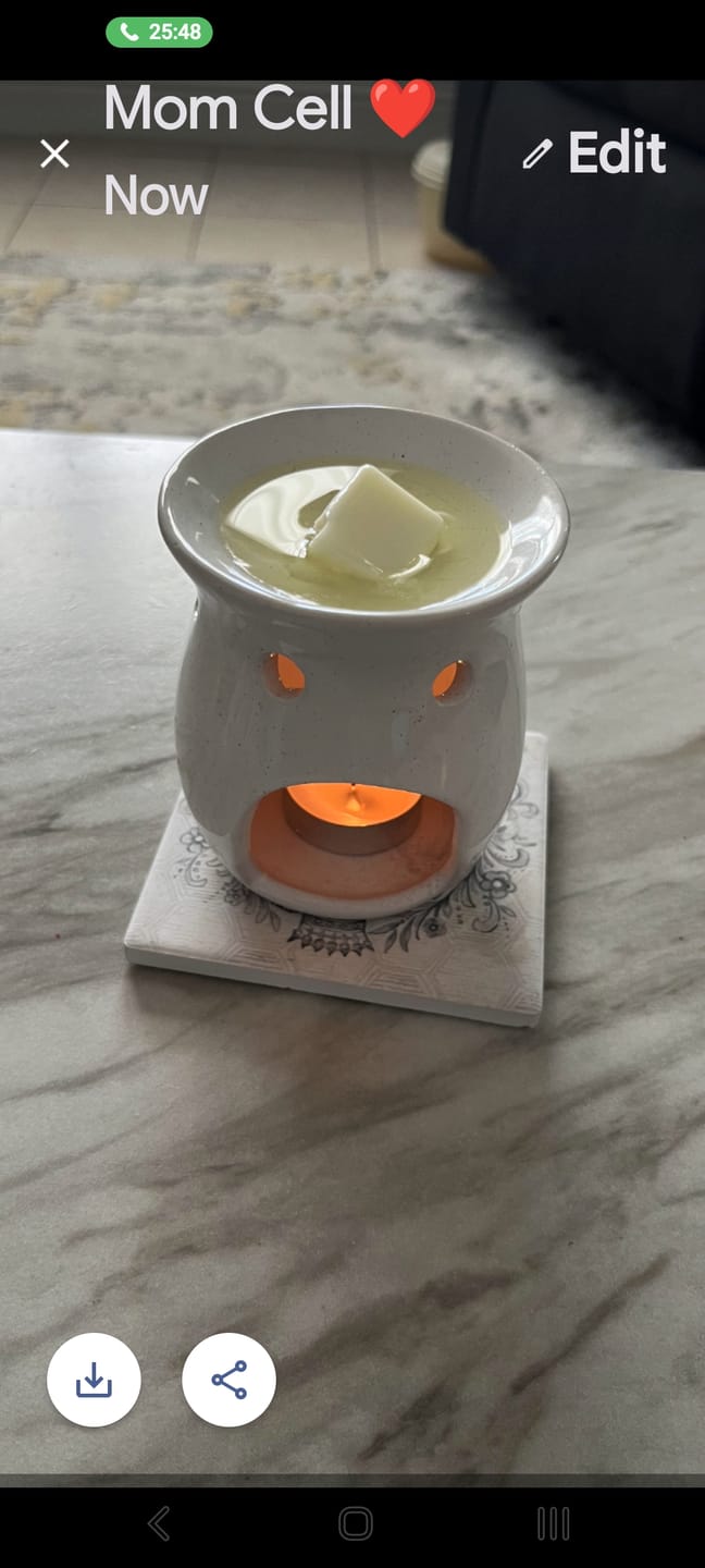 Customer photo review of Basil + Lemongrass Wax Melt