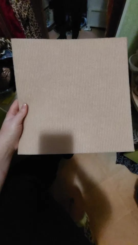Customer photo review of Cats Scratch Self-Adhesive Carpet