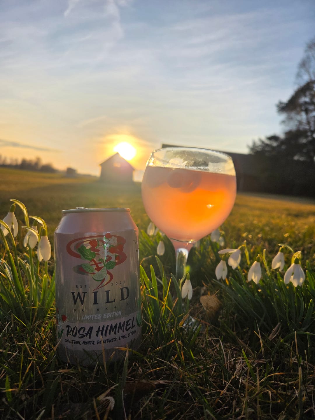 Customer photo review of Rosa Himmel 6-pack