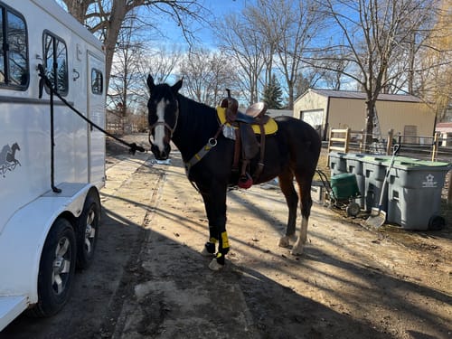 Customer photo review of BLACK WITH GOLD SPARKLE VELCRO SPLINT BOOT (PAIR)