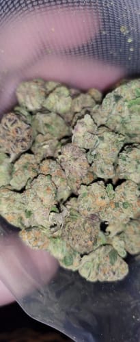 Customer photo review of Glitter Bomb Smalls