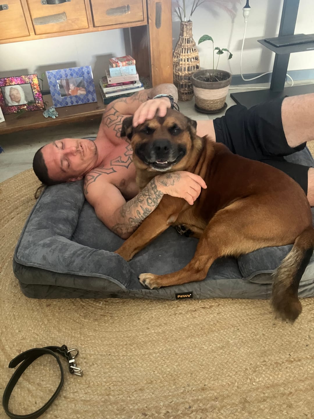 Customer photo review of PaWz Premium Memory Foam Pet Sofa Bed