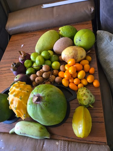 Customer photo review of Tropical Variety Box