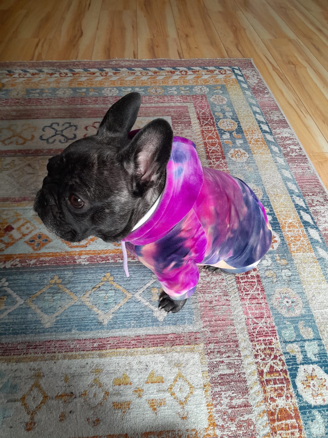 Customer photo review of Velvet Human Hoodie - Berry Lemonade