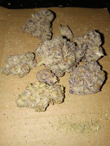 Customer photo review of Goofiez