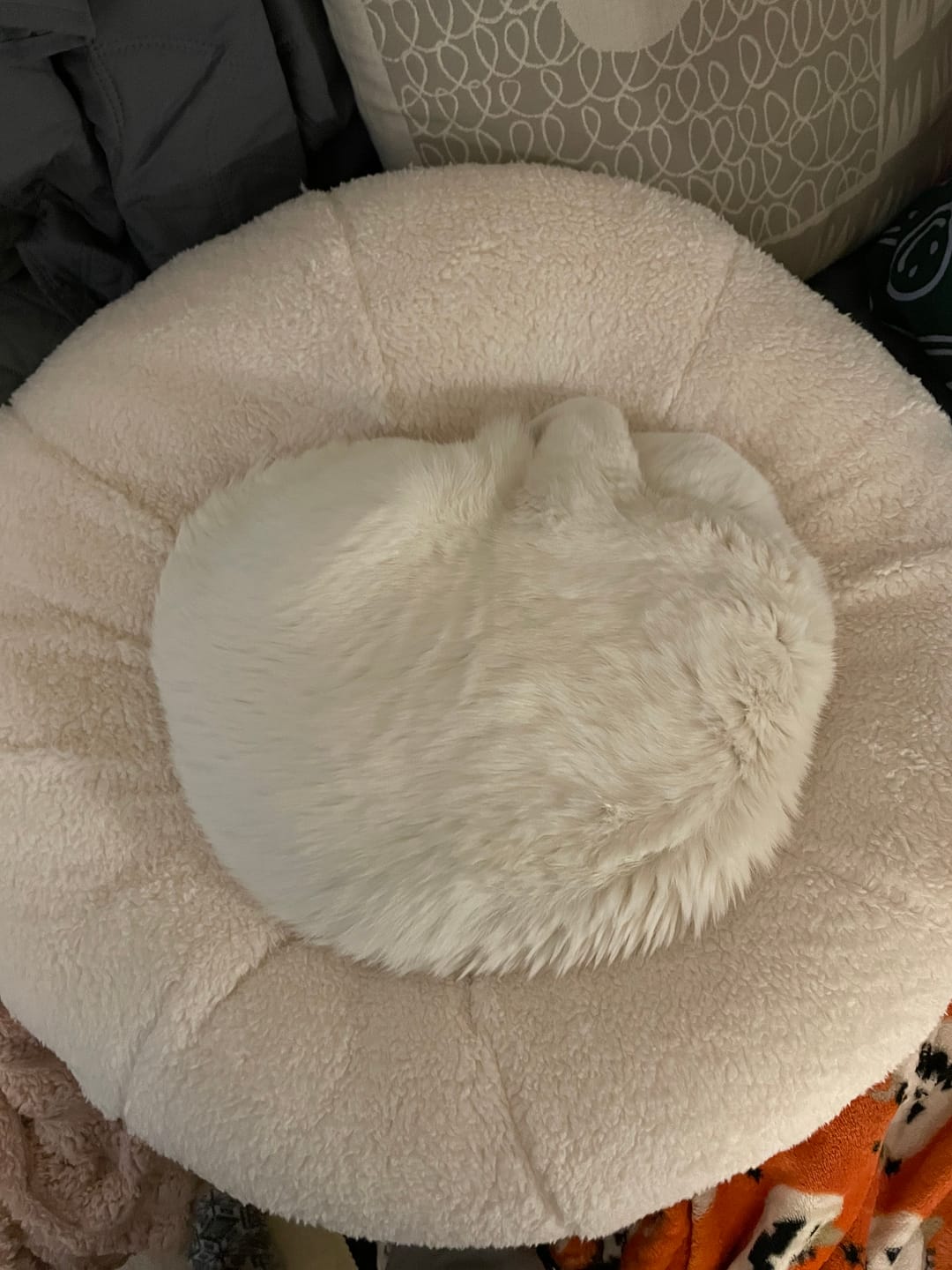 Customer photo review of Marshmallow Pudding Bed