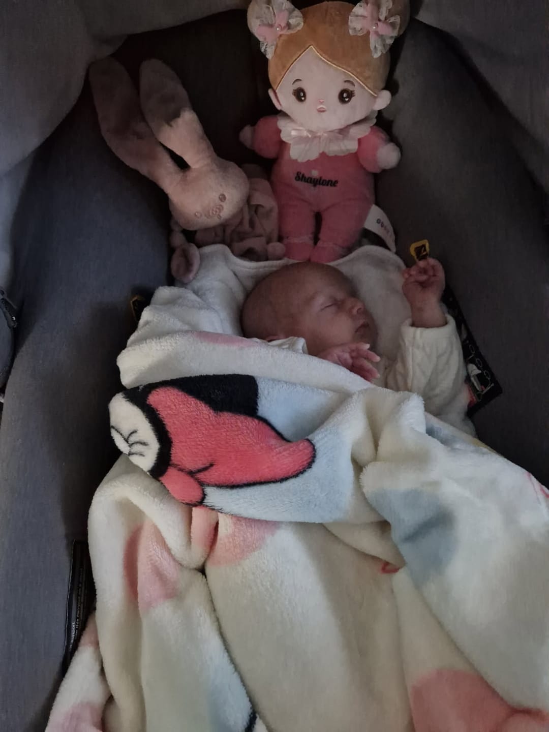 Customer photo review of Mini Rose Personnalisée Poupée en Peluche avec Yeux Ouverts & Ensemble-cadeau