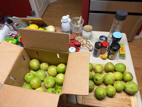 Customer photo review of Watermelon Guava