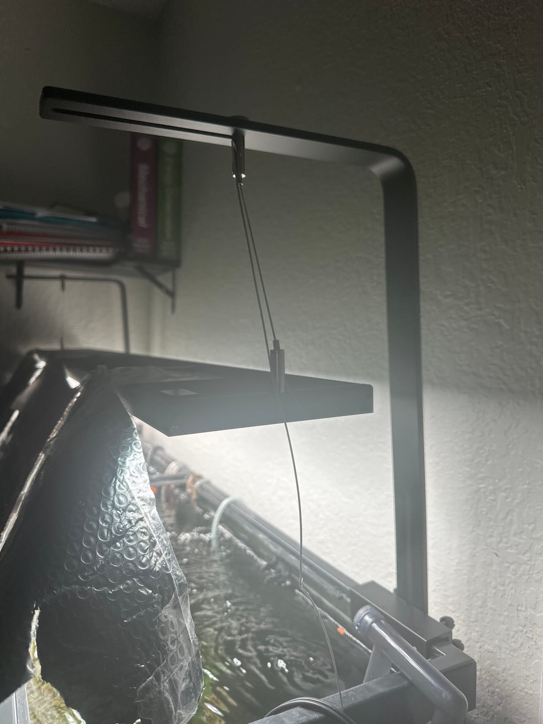 Customer photo review of Chihiros LED Lights Small Hanging Stand Kit