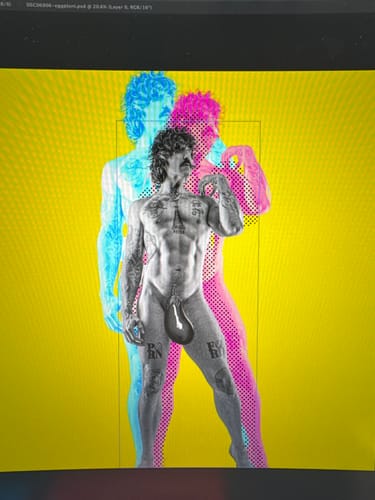 Customer photo review of Acid Warhol Pop-Art Photo Effects