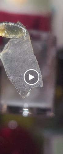 Customer video review of Gorilla Glue Shatter