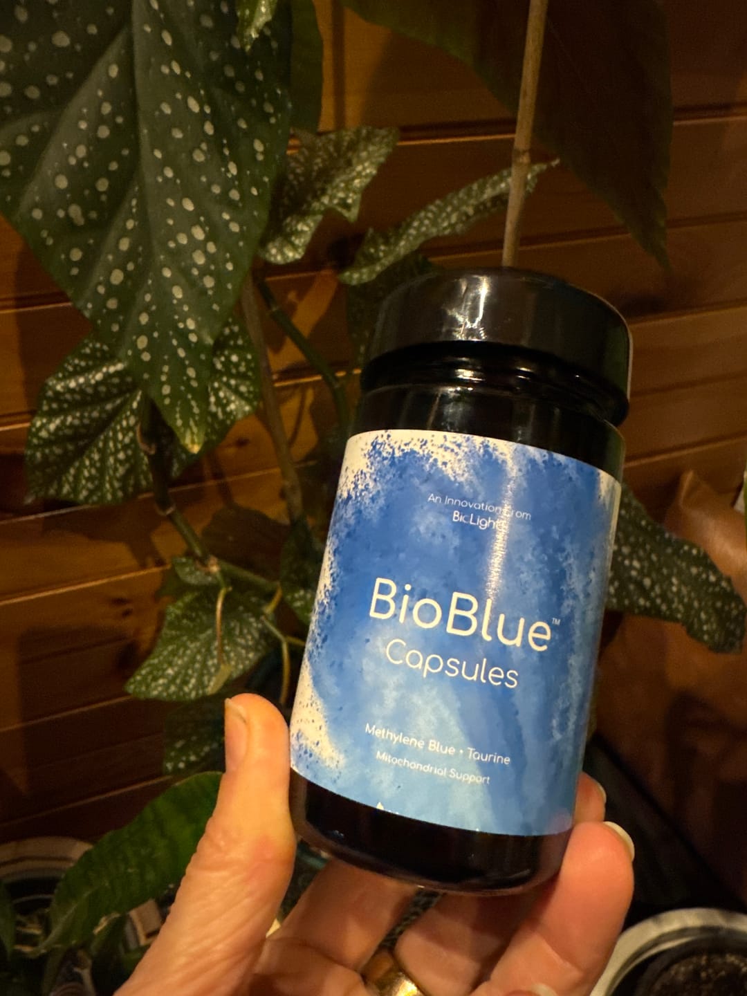 Customer photo review of Protect Your Purchase!