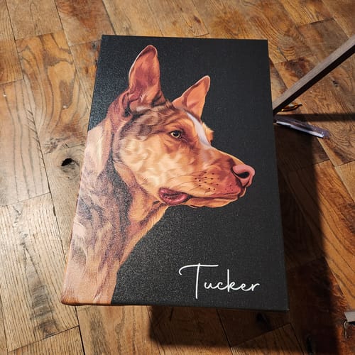 Customer photo review of Pet Art Canvas Wrap