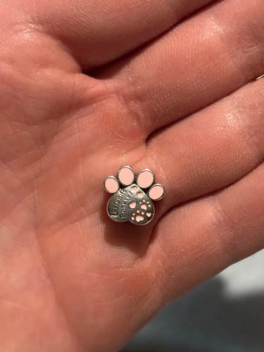 F. E. review of 925 Sterling Silver Friends Forever Paw Charm image 1 out of 1