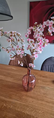 Fotorecensie van een klant over Zijden Bloesem - Roze