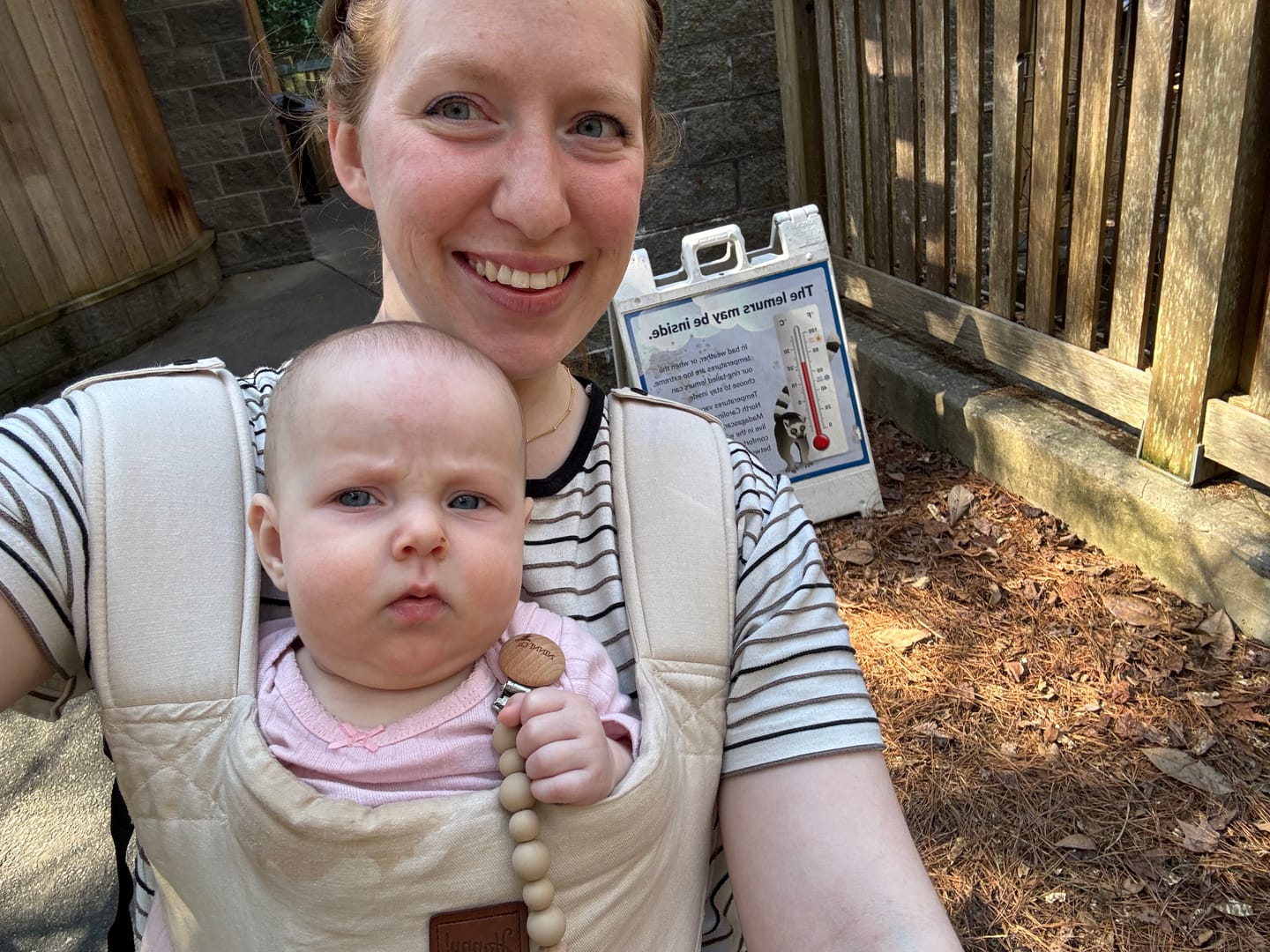 Customer photo review of Happy Baby Revolution (forward facing option)