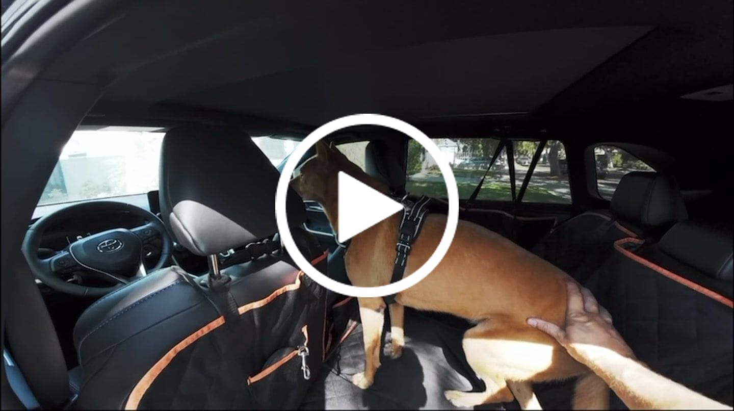 Customer video review of FurGuard™: Hard Bottom Extender