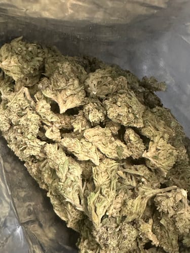 Customer photo review of Super Lemon Haze THCA Flower